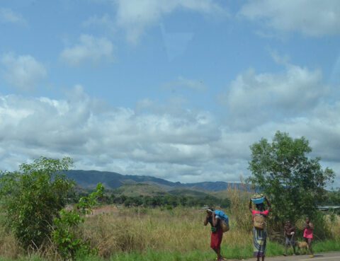 Voksne og barn bærer varer langs landeveien på i Kongo